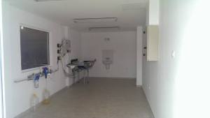 1535417_10202903941460482_919191053_n