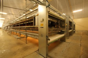 Comfort-2-end-of-row-manure-disposal-1400x933