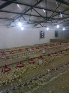 Изображение0074