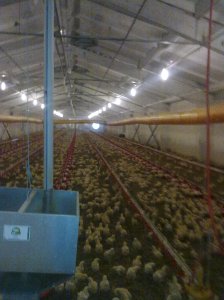 Изображение0075