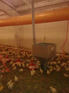 Изображение0076