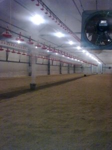 Изображение0091