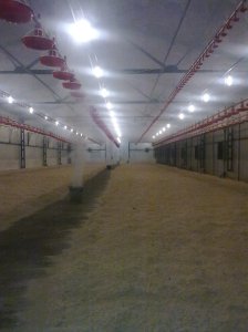 Изображение0093