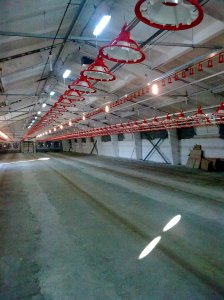 Изображение0101