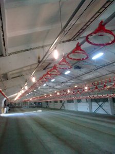 Изображение0103