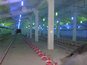 MINOLTA DIGITAL CAMERA