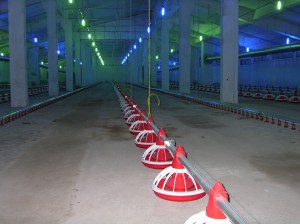 MINOLTA DIGITAL CAMERA