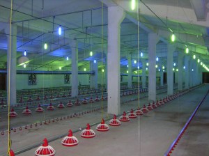 MINOLTA DIGITAL CAMERA