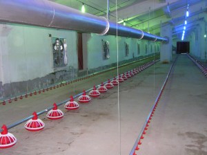 MINOLTA DIGITAL CAMERA