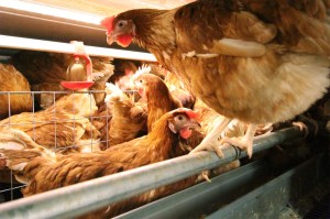 VolMaxx-foto-4-1400x933